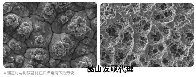 东方蔡司东方扫描电镜